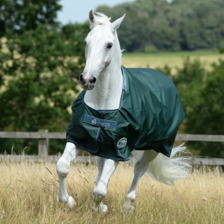 Couverture cheval au pré Green Line 300g recyclable Bucas - Le Paturon
