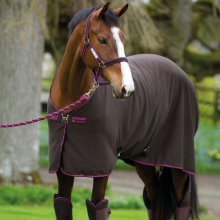 Couverture De Repos Amigo Horsewear Ireland Taille Cheval 75 - Grise Bordure Orange, Occasion