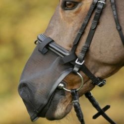 Protège-naseaux anti-mouche cheval Waldhausen noir - Le Paturon