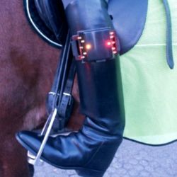 Super Safety cheval lumière de sécurité Reflex Waldhausen - Le Paturon