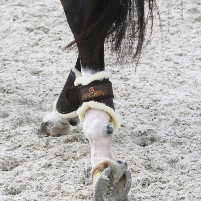 Protège-boulets cheval Turnout mouton Kentucky - Le Paturon