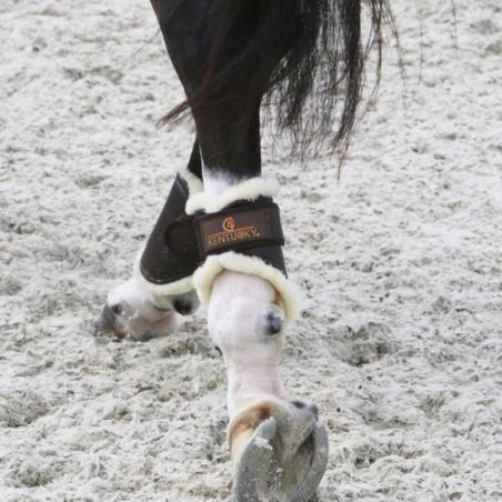 Protège-boulets cheval Turnout mouton Kentucky - Le Paturon
