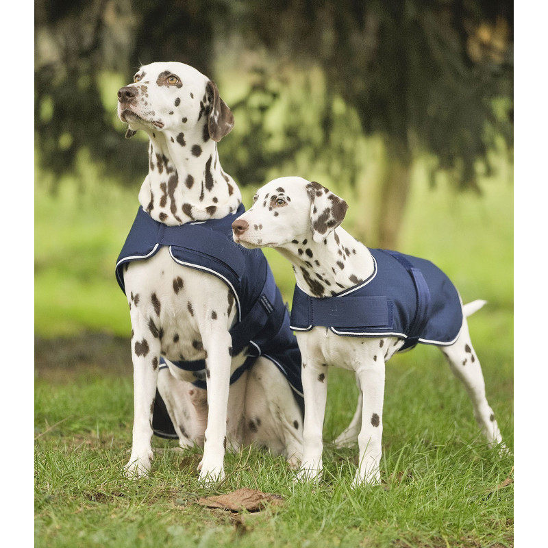 Manteau chien Waldhausen Couverture chien Waldhausen pluie Le