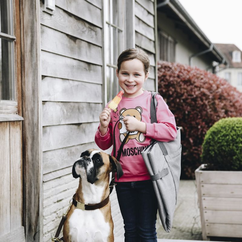 Panier Travel In Style chien Kentucky - Le Paturon