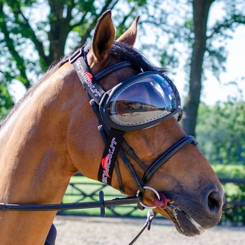 eQuick eVysor Lunette - Protection œil cheval - Le Paturon