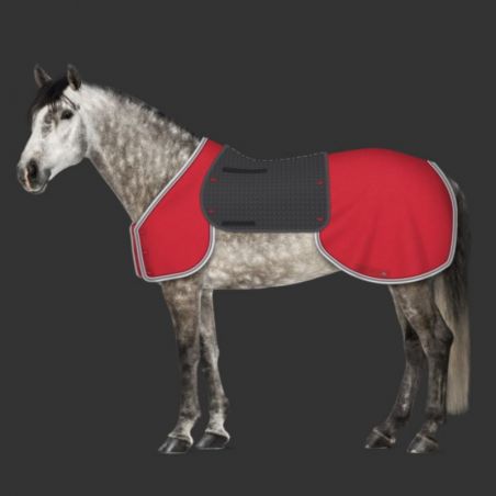 MER-SYSTEM couvre-poitrail et reins Mattes personnalisable cheval - Le Paturon