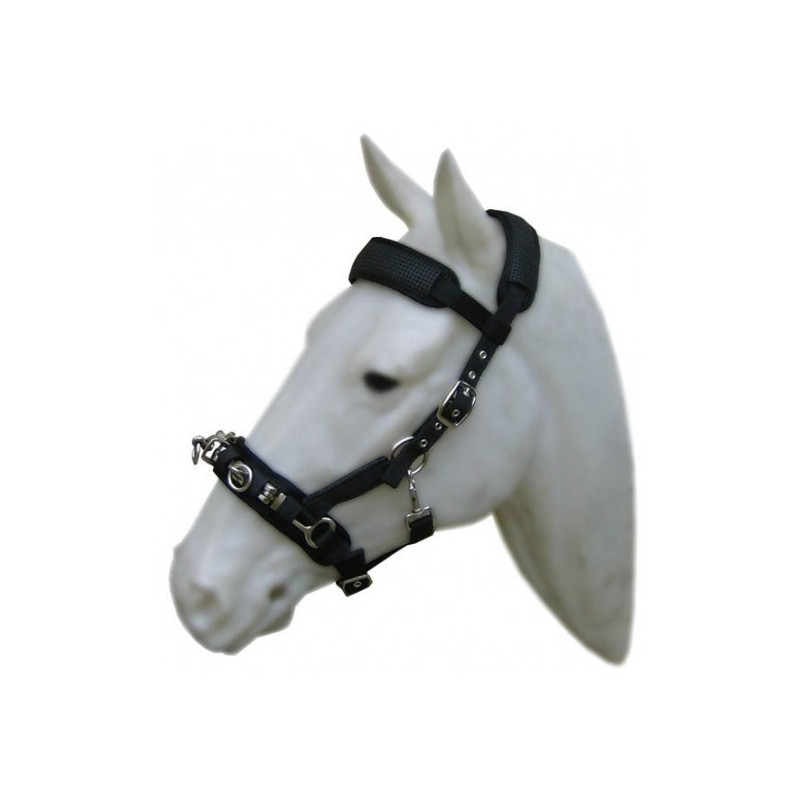 Caveçon cheval Cavalhorse matelassé en néoprène - Le Paturon