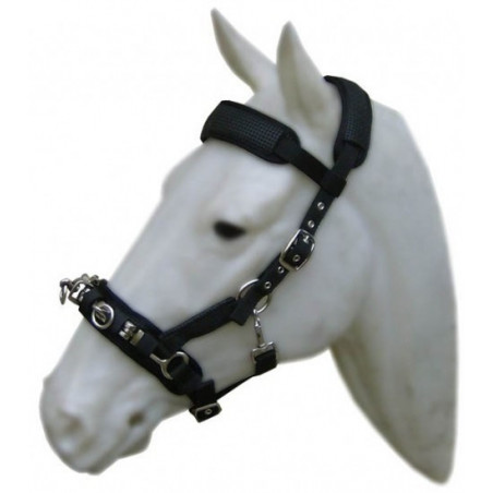 Caveçon cheval Cavalhorse matelassé en néoprène - Le Paturon