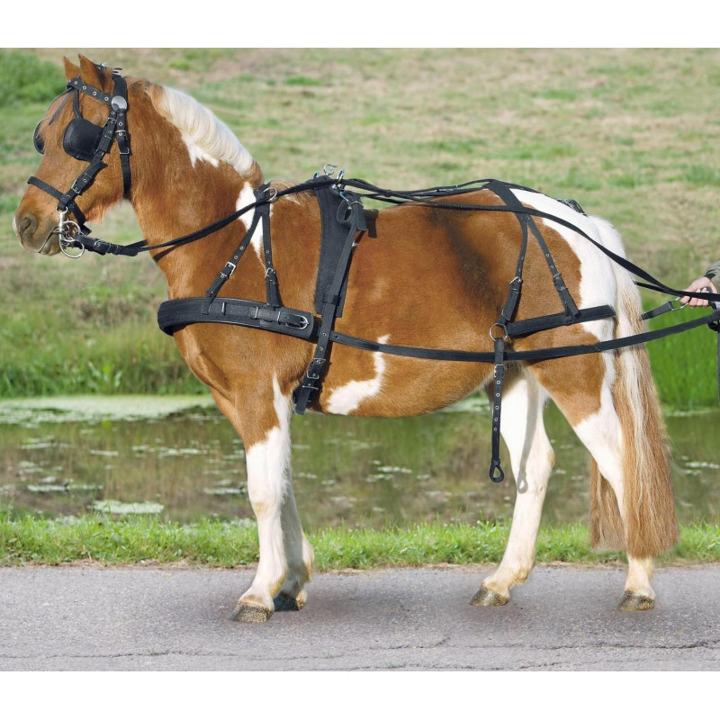 Harnais à bricole Waldhausen Simple Star cheval nylon - Le Paturon Harnais à bricole Waldhausen Simple Star cheval nylon - Le Paturon