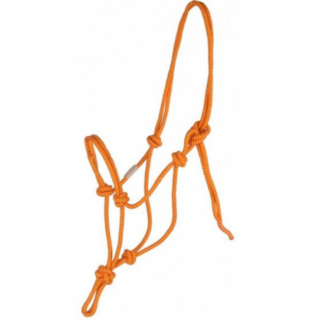 Licol de travail éthologique cheval Babia FRA rouge jaune - Le Paturon
