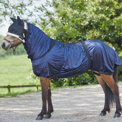 Couverture cheval anti dermite bleu nuit - Le Paturon