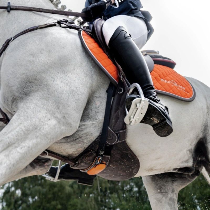Equisense Pack Motion Sport cheval marron - Le Paturon