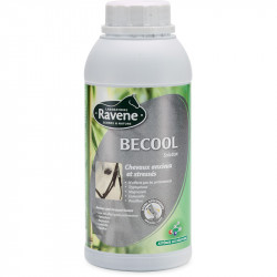 Becool Ravene - Stress cheval - Le Paturon
