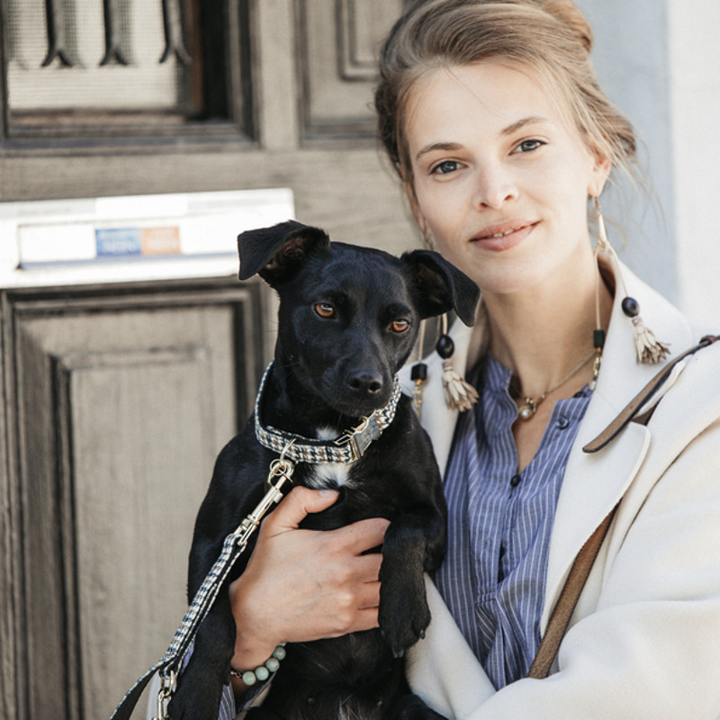 Collier Kentucky chien Pied-de-poule brun - Le Paturon