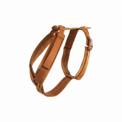 Harnais Velvet Kentucky chien orange - Le Paturon