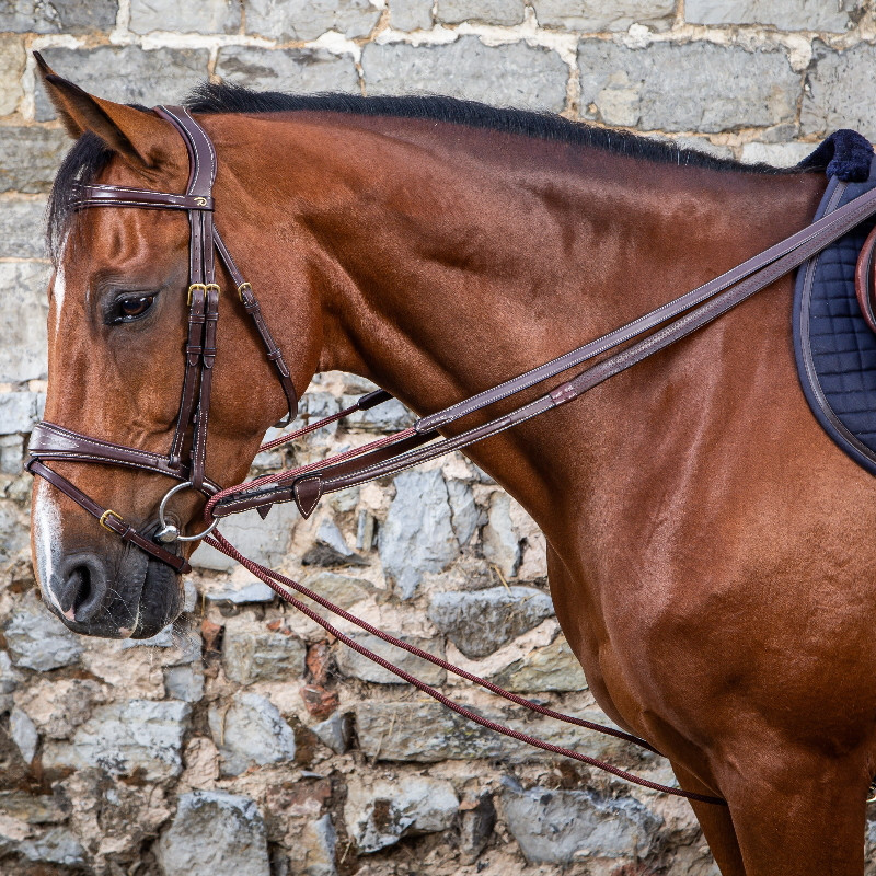 Rênes allemandes Dy'on Collection cheval cuir et nylon noisette - Le Paturon
