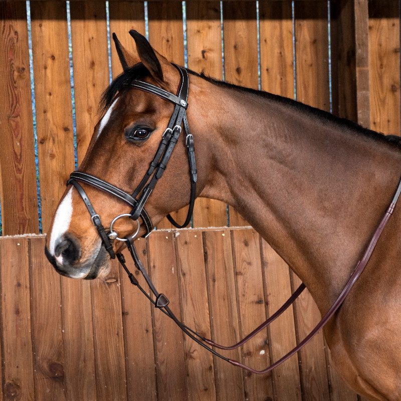 Bridon cheval muserolle combinée classique Working By Dy'on noir - Le Paturon