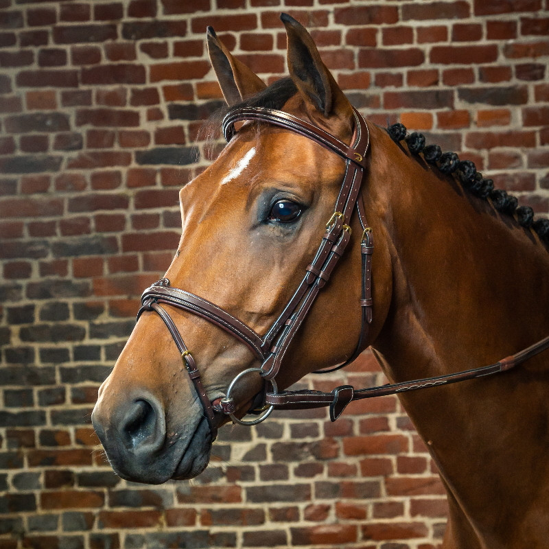 Bridon Dy'on cheval muserolle combinée D Collection noisette - Le Paturon
