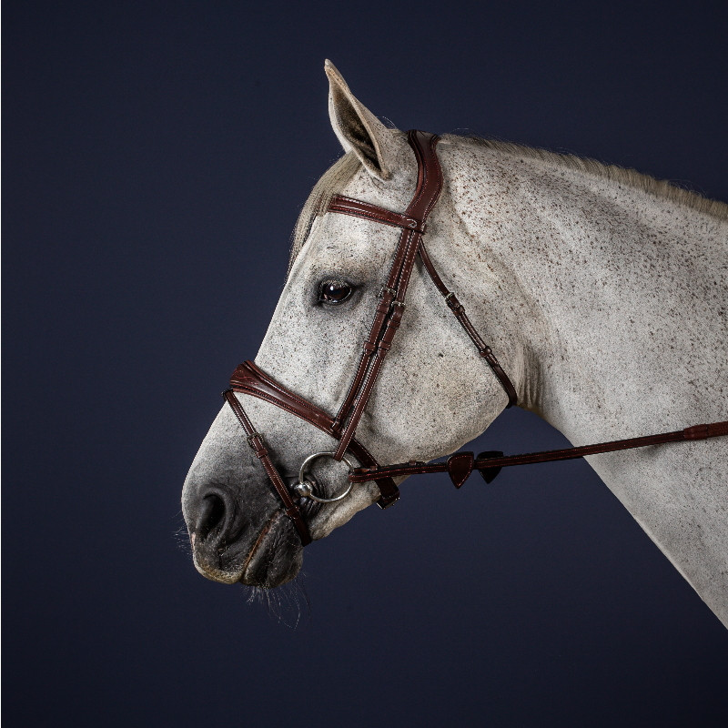Bridon Dy'on cheval muserolle combinée anatomique New English Collection noisette - Le Paturon