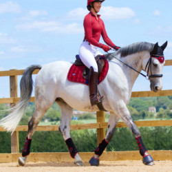 Tapis Woof Wear Satin Vision cheval rouge chili - Le Paturon