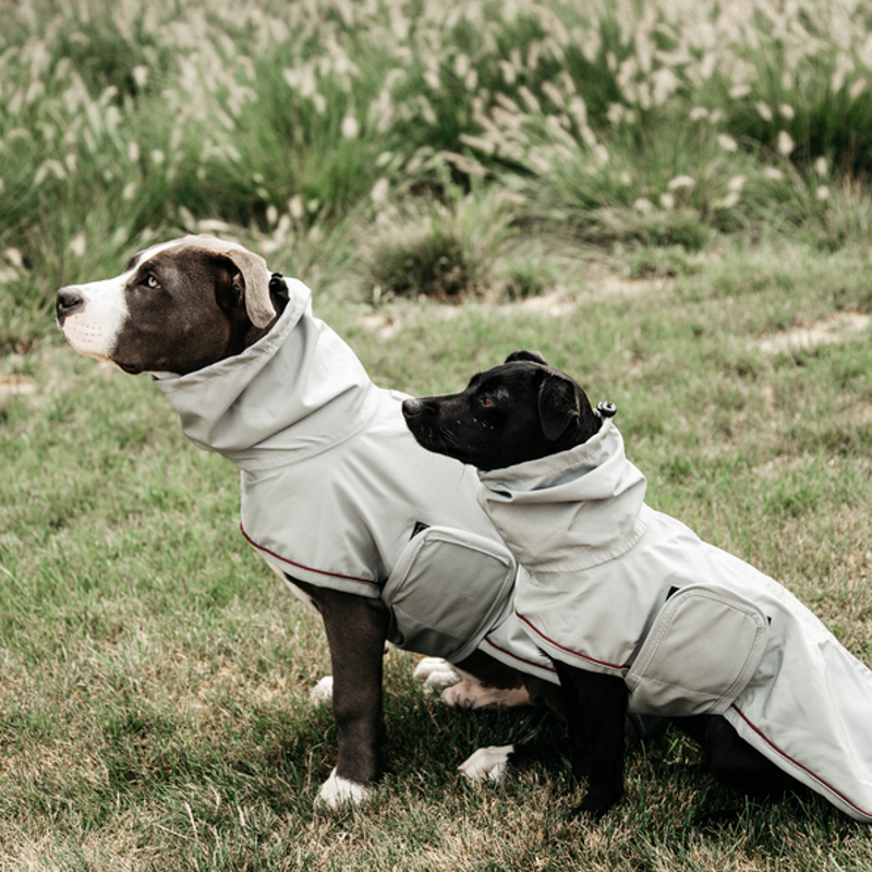 manteau de pluie pour chihuahua