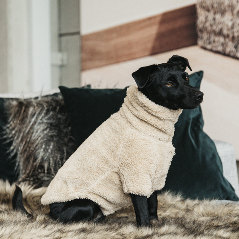 Pull Kentucky Dogwear chien Teddy Fleece beige - Le Paturon Pull Kentucky Dogwear chien Teddy Fleece beige - Le Paturon