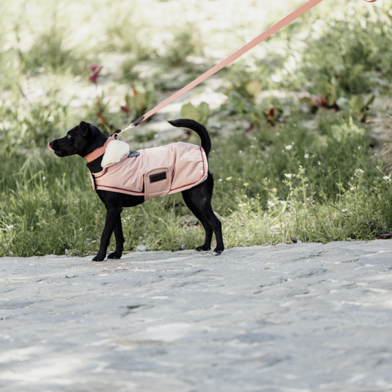 Manteau chien Kentucky Dogwear imperméable 160g corail - Le Paturon