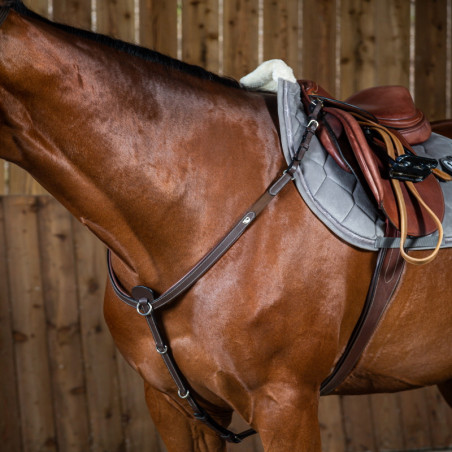 Collier de chasse Working by Dy'on cheval noisette - Le Paturon