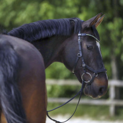 Mors Sprenger kk Ultra Correction Sensogan droit 18mm cheval - Le Paturon