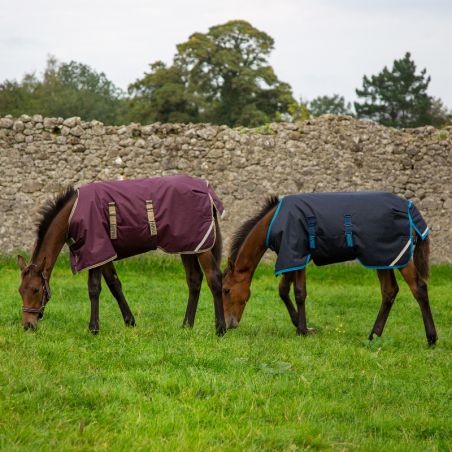 Couverture Horseware Amigo Foal 200g poulain - Le Paturon