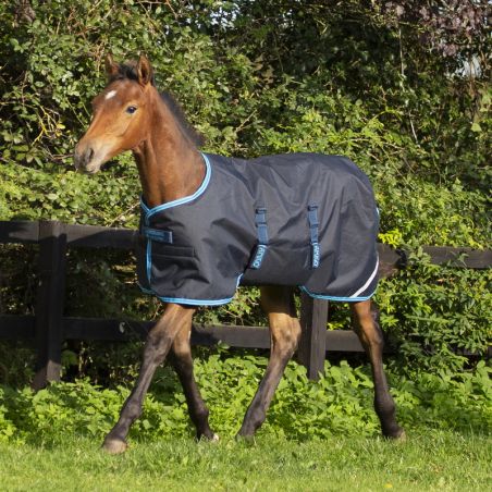 Couverture Horseware Amigo Foal 200g poulainCouverture Horseware Amigo Foal 200g poulain - Le Paturon