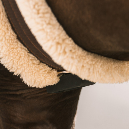 Ceefit Seaver boîtier récolteur de données cheval - Le Paturon