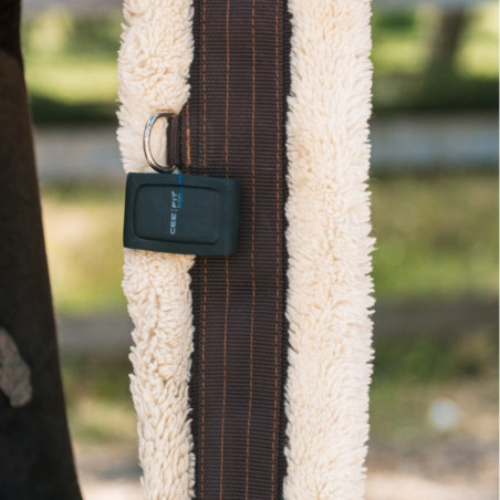Ceefit Seaver boîtier récolteur de données cheval - Le Paturon