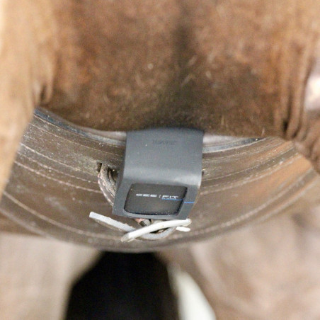 Ceefit Seaver boîtier récolteur de données cheval - Le Paturon