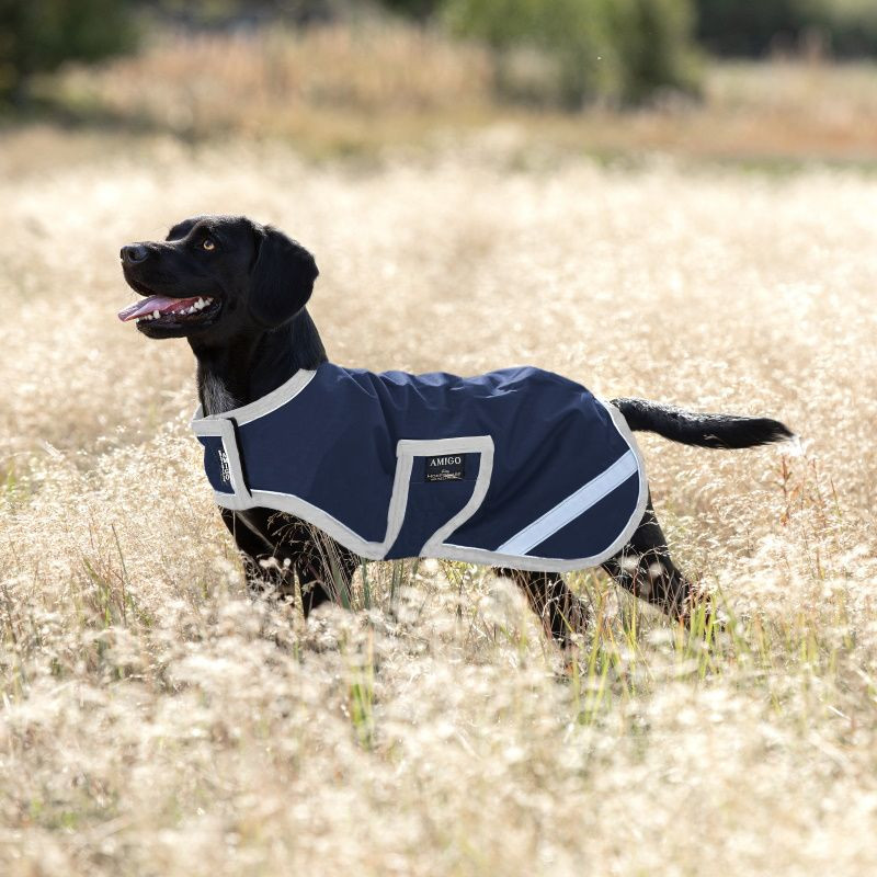 Couverture chien imperméable Amigo Horseware marine argent - Le Paturon