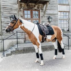 Tapis Velvet Kentucky Pearls cheval noir dressage - Le Paturon