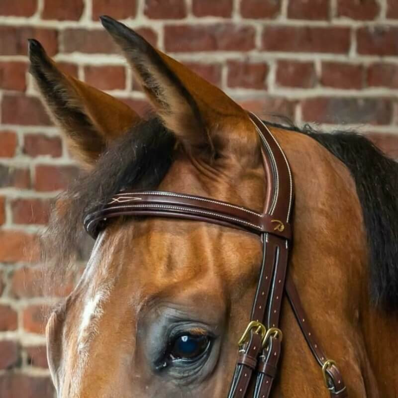 Frontal droit Dy'on D Collection cheval noisette - Le Paturon