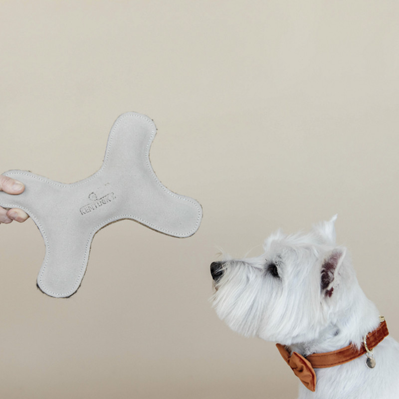 Jouet Os Pastel Kentucky chien crème - Le Paturon