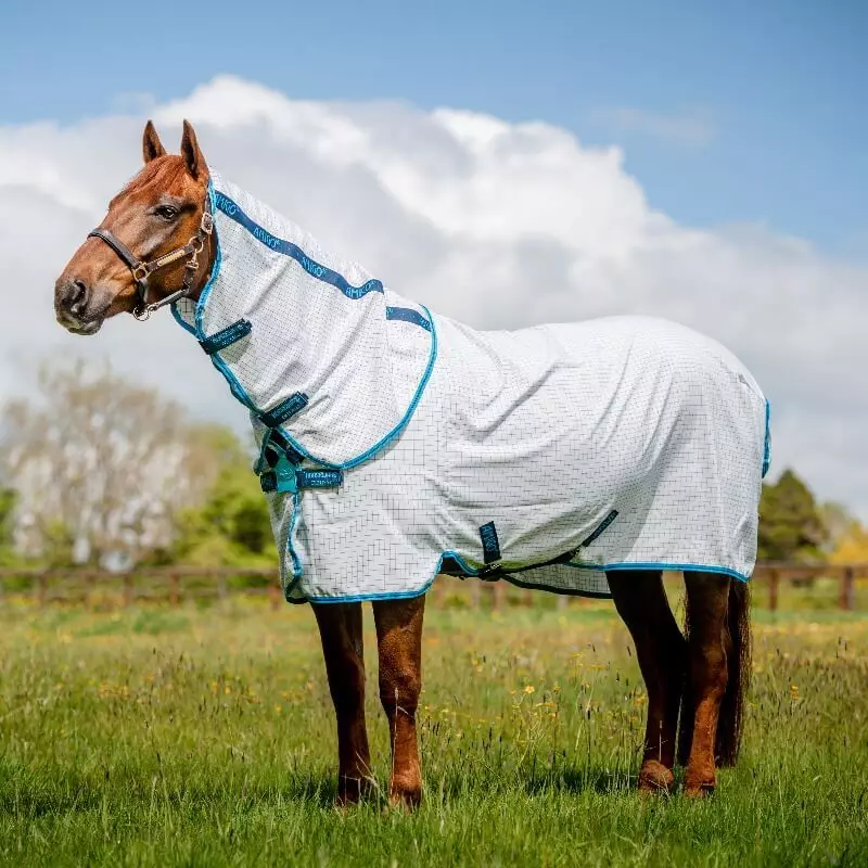 Couverture Aussie Anti-mouche Anti Uv cheval Amigo all rounder Horseware bleu - Le Paturon