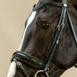 Montants de bridon dressage Working by Dy'on cheval noir - Le Paturon