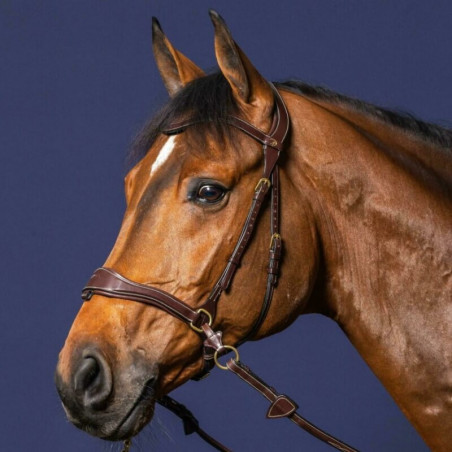 Bridon D Motion Dy'on D Collection cheval noisette - Le Paturon