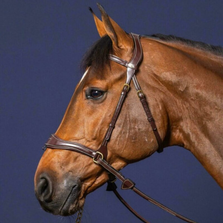 Bridon D Motion Dy'on D Collection cheval noisette - Le Paturon