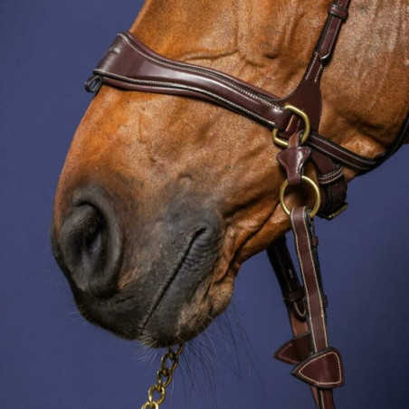 Bridon D Motion Dy'on D Collection cheval noisette - Le Paturon