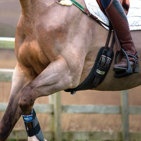 Sangle courte Narrow Prolite anatomique déportée cheval noir - Le Paturon