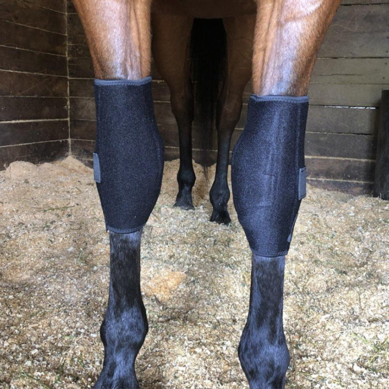 Protège-genoux cheval Fenwick Titane Liquide - Le Paturon