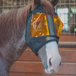 Masque anti-UV et lumière bleue cheval Restoration Equine Mask XpertEquine standard - Le Paturon - Uvéite cheval