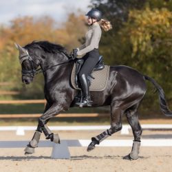 Cloches cheval Comfort Waldhausen doublées mouton sable - Le Paturon