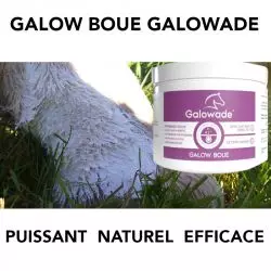 Galow Boue Galowade - Gale de boue cheval - Le Paturon