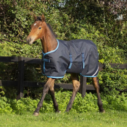 Couvre cou Thor 200g, imperméable et matelassé, couverture cheval