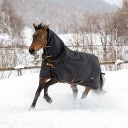 Couverture de pré cheval Irish Turnout Light Bucas 50g avec couvre-cou - Le Paturon